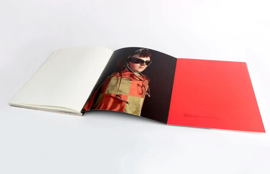 Recent Work — image 9