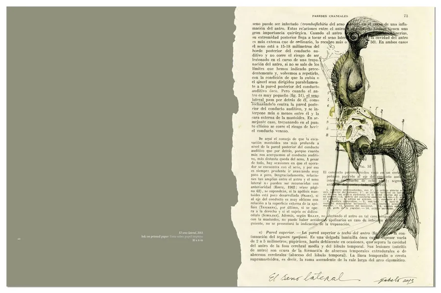 Fabelo's Anatomy — image 3