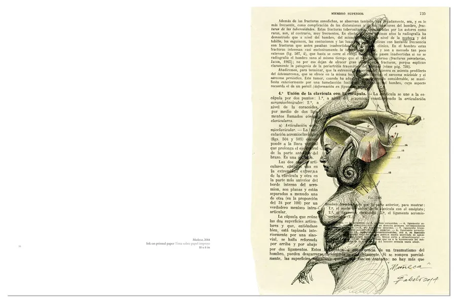 Fabelo's Anatomy — image 4