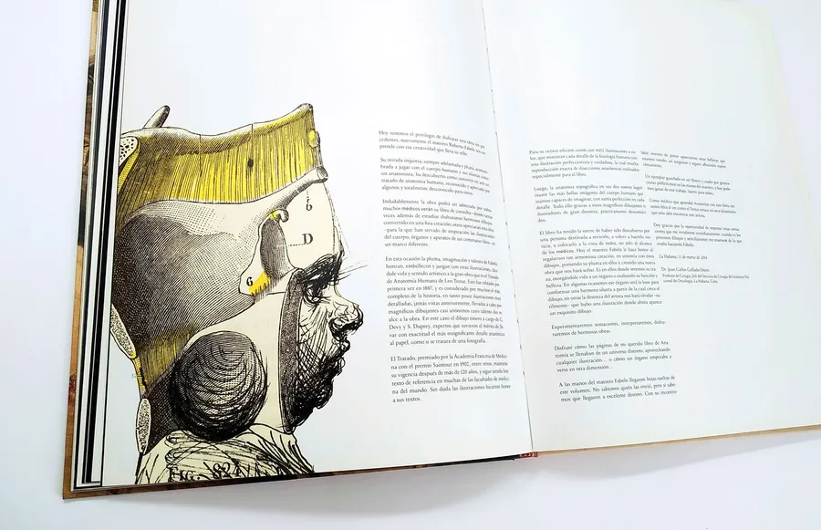 Fabelo's Anatomy — image 13