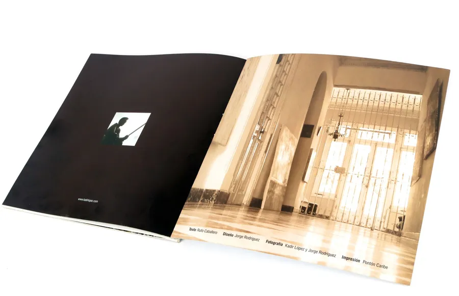 Recent Work — image 11