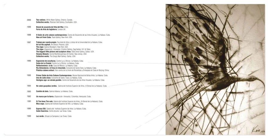 Recent Work — image 18