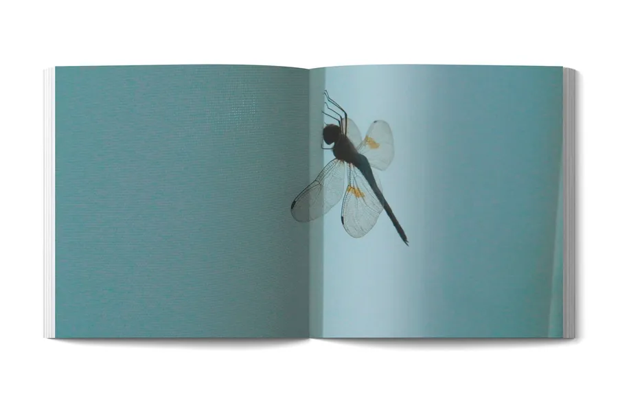 Nothing — image 5