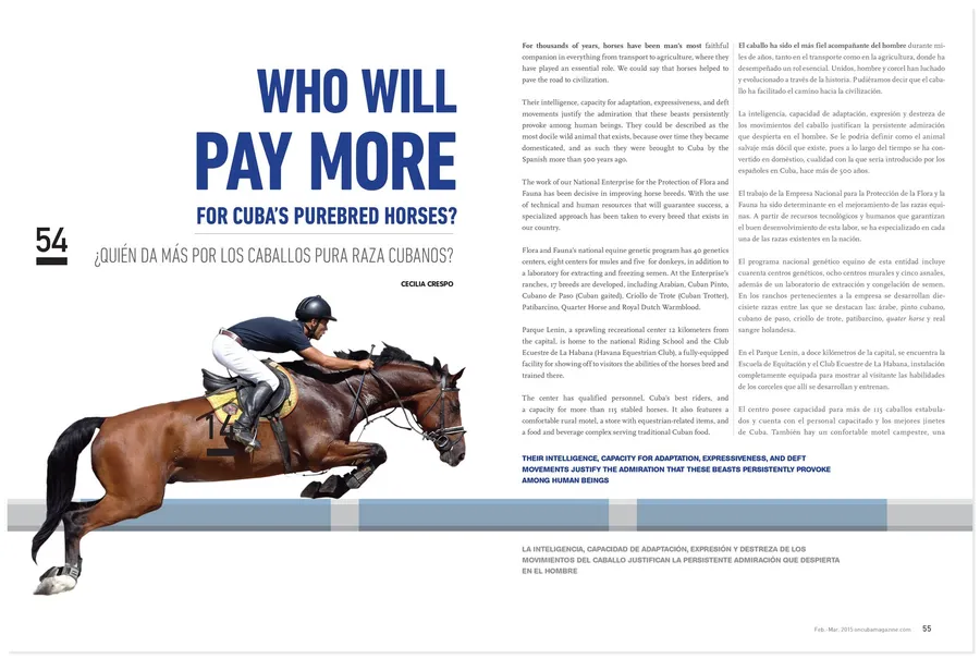 OnCuba Magazine — image 6