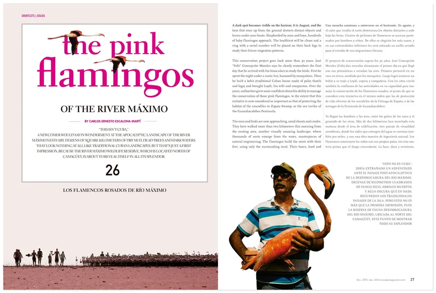 OnCuba Magazine — image 12