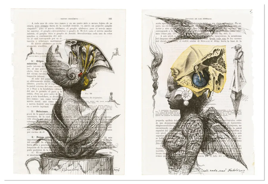 Persistence — image 5