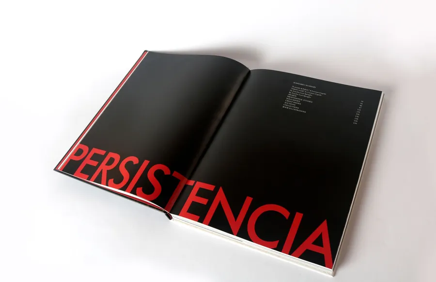 Persistence — image 12