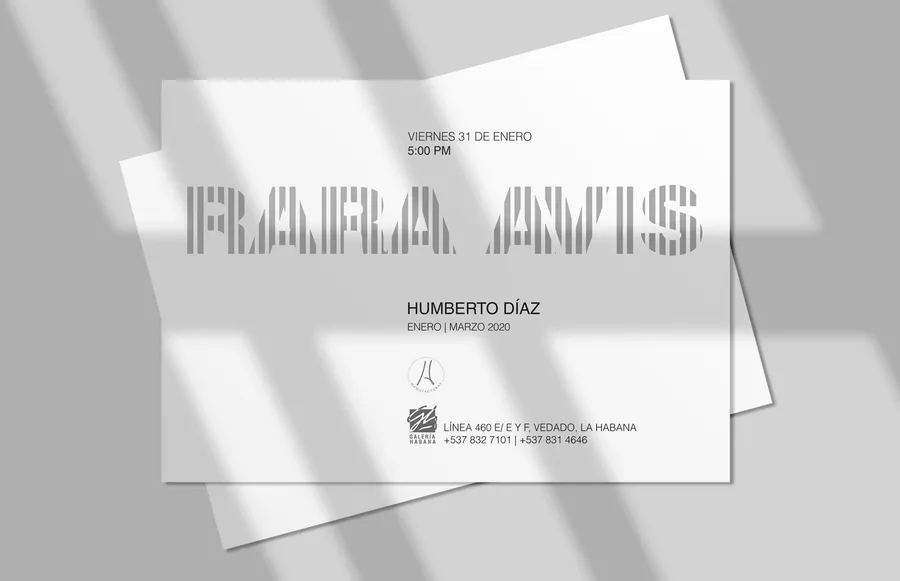Rara Avis — image 11