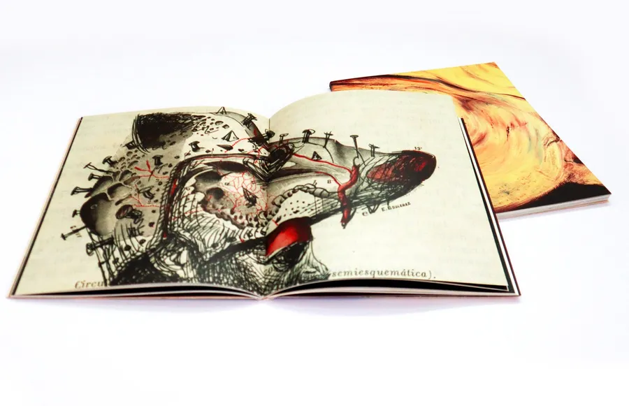 We Are Not Animals — image 3